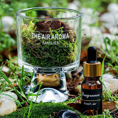 100ml γυάλινο αρωματικό λάδι διαχέτης βρύσης για κομψή διακόσμηση σπιτιού εμπνευσμένο από τη φύση άρωμα δώρο