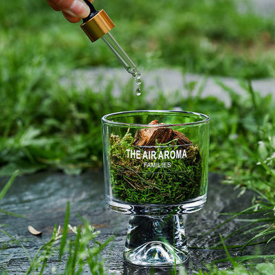 100 ml Διαχυτήρας βρύσης εμπνευσμένος από τη φύση Δημιουργικός διαχυτήρας αρωματικού πετρελαίου για τη διατήρηση του αέρα φρέσκο