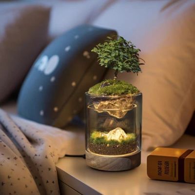 Τεράρια από γυαλί ινών για Bonsai και Mall Display Hotel