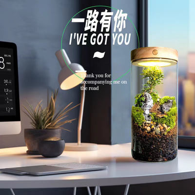 Τεράρια από γυαλί ινών για Bonsai και Mall Display Hotel