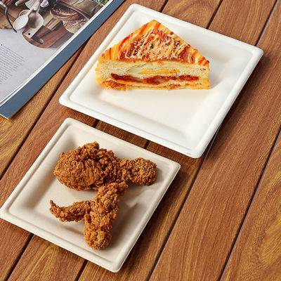 Φυσικό χρώμα Χάρτινα πιάτα για τα τρόφιμα με όλα τα αξεσουάρ