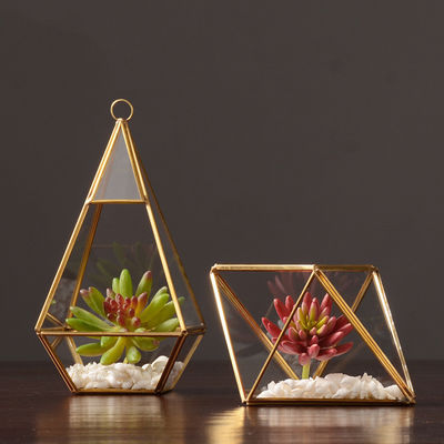 Σκανδιναβικό οικολογικά φιλικό γυάλινο κουτί οθόνης τοίχου με χάλκινο περιθώριο και ξύλινη βάση