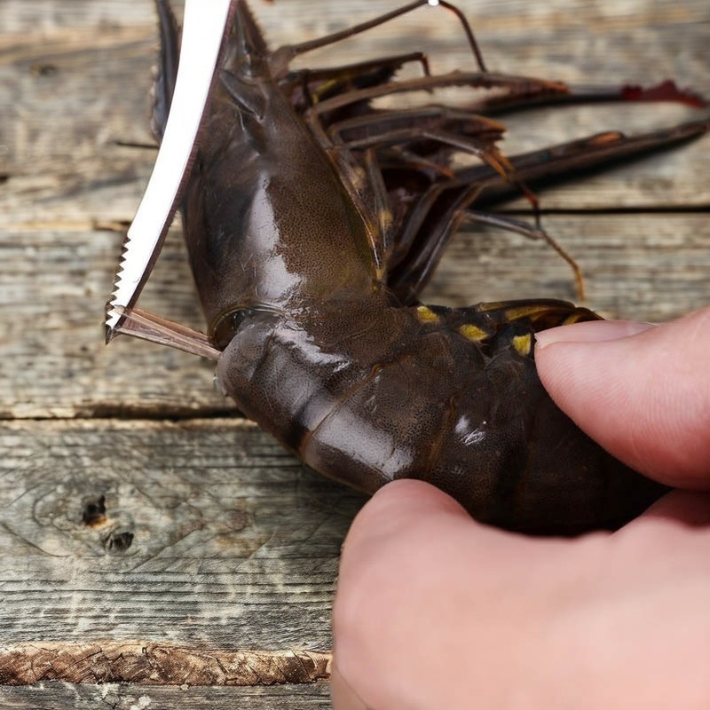 Γρήγορο καθαρισμό γαρίδας με κοπτήρες λαχανικών και μαχαίρι κοιλιάς ψαριών από ανοξείδωτο χάλυβα